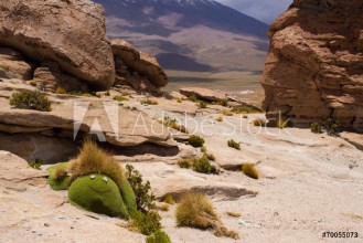 Bild på Parco nazionaleBolivia